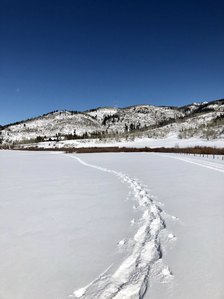 Steamboat-Springs-snowshoe-tracks