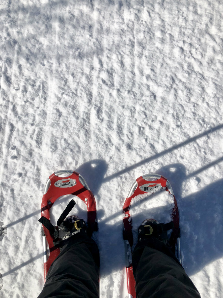 Snowshoeing in the Yampa Valley in Colorado