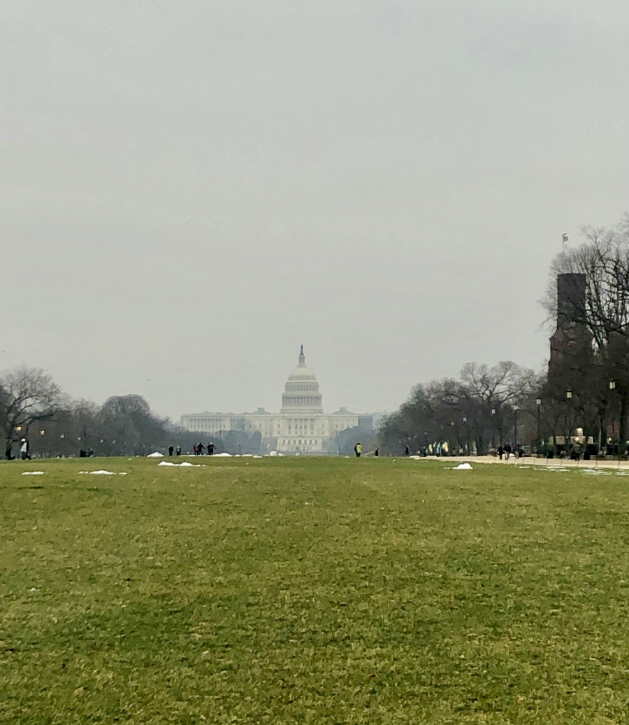 4 Fun Things to do in Washington, D.C. During a Government Shutdown