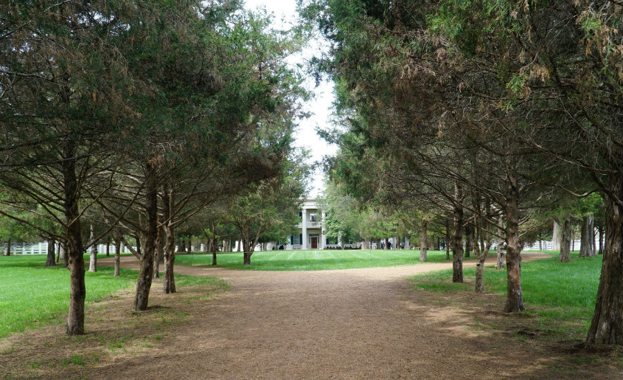 Hermitage Plantation tour in Nashville