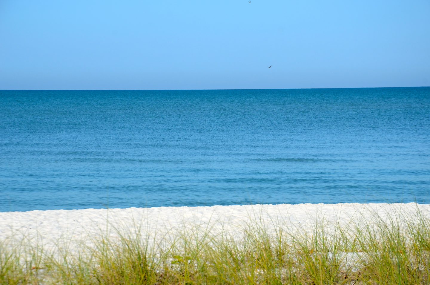 Top Things to See and Do with Kids in Naples, FL