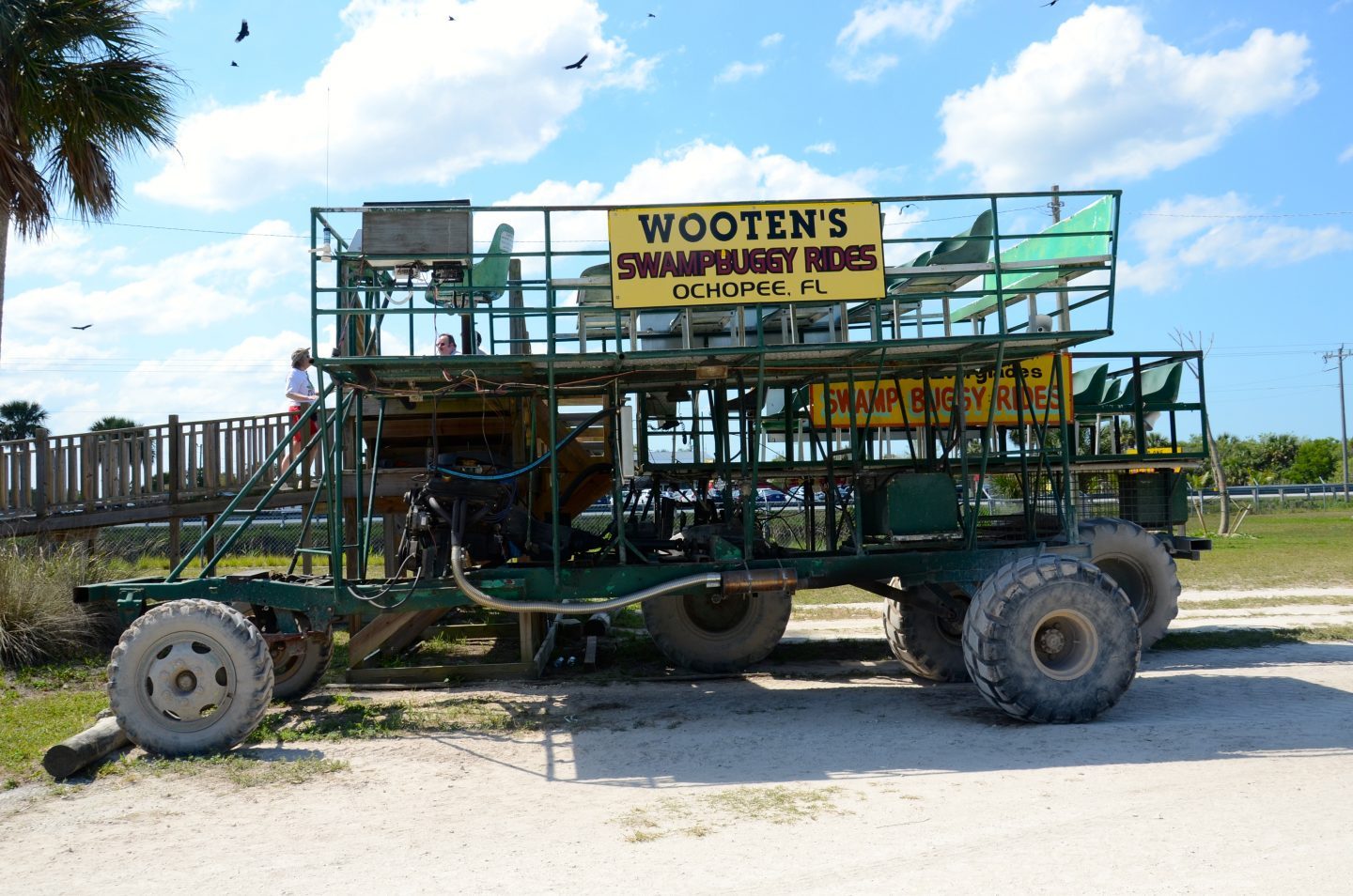 Taking a buggy ride in the Everglades at Wootens.