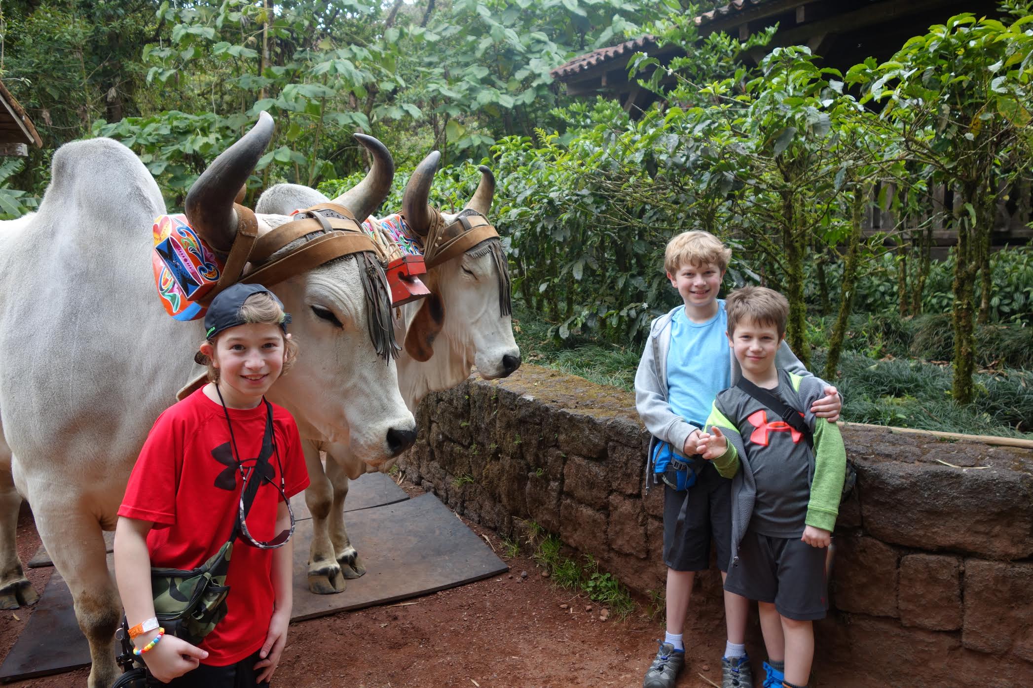 Travel Exchange - Hanging with animals in Costa Rica.