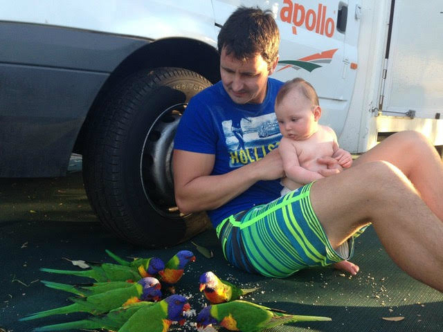 parrots-campsite-Australia-