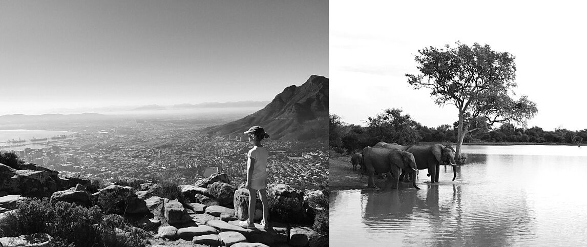 Mountains and wildlife in South Africa.