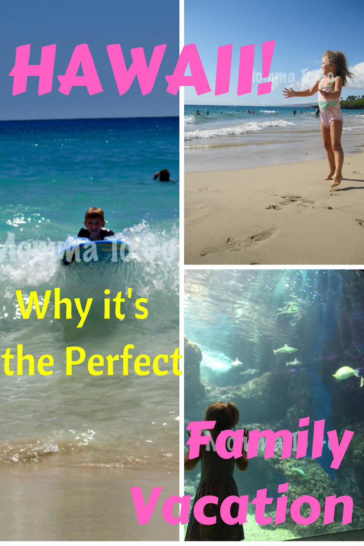 Harmony from Momma to Go in Hawaii.