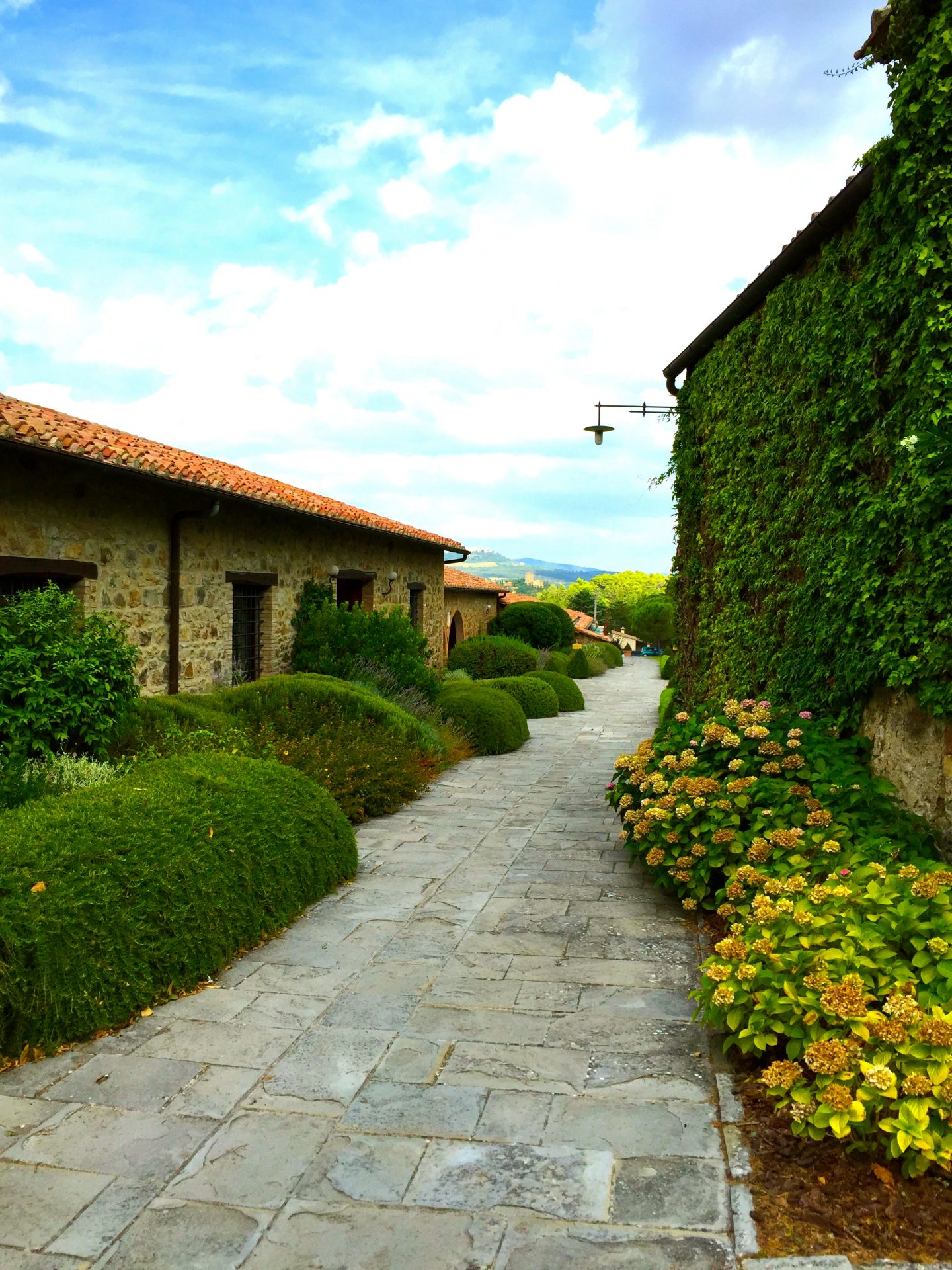 Entering Tuscan winery Banfi