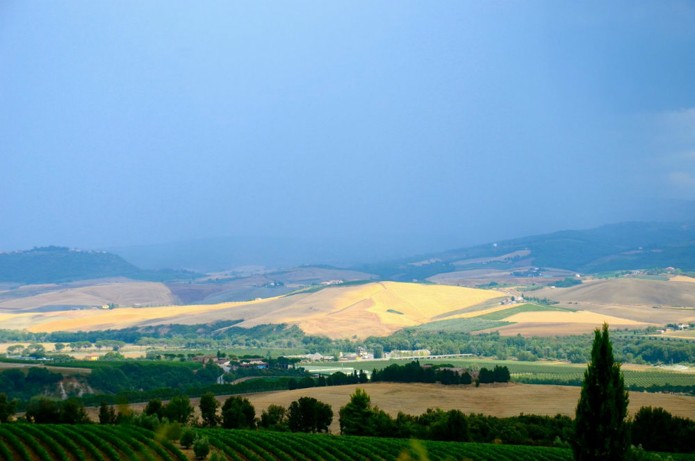 View of the Tuscan countryside at Tuscan winery Banfi