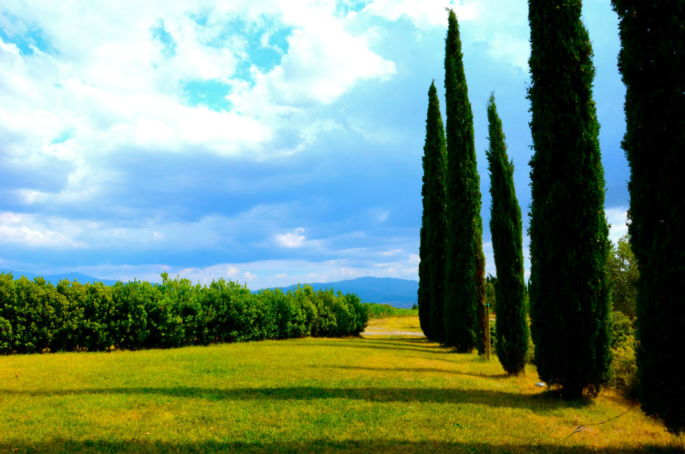7 Reasons Why Tuscany Makes for the Perfect First Family Vacation Abroad