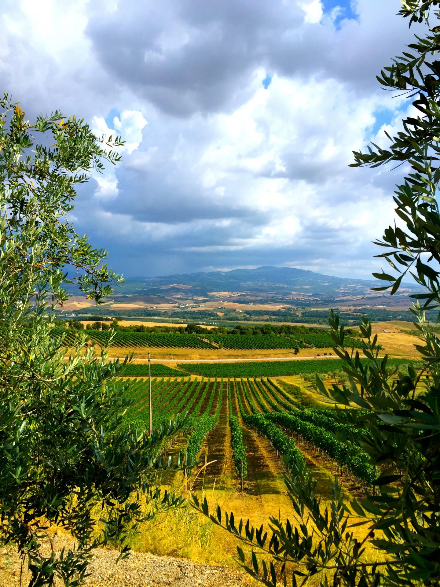 Family friendly wine tasting in Tuscany