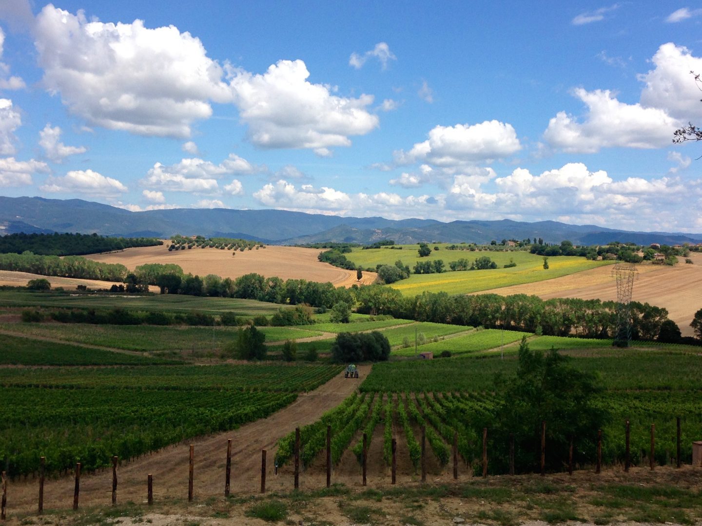 Breathtaking Tuscan countryside in Cortona.