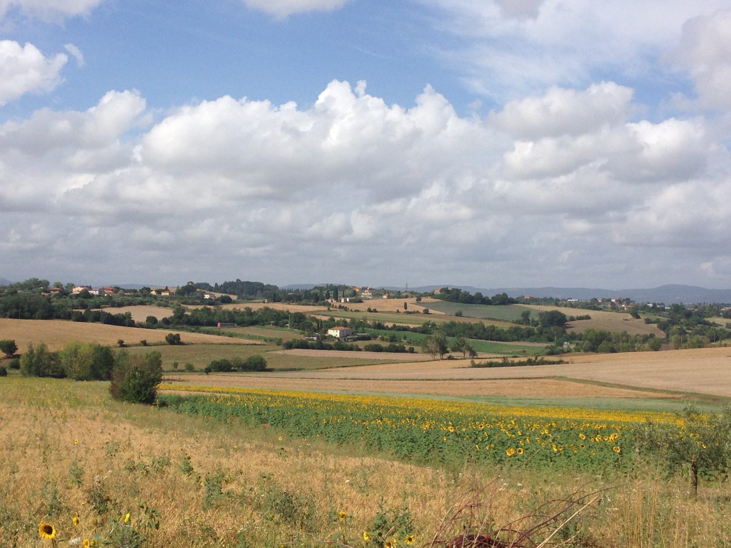 Taking a walk in the countryside of Cortona, Tuscany.