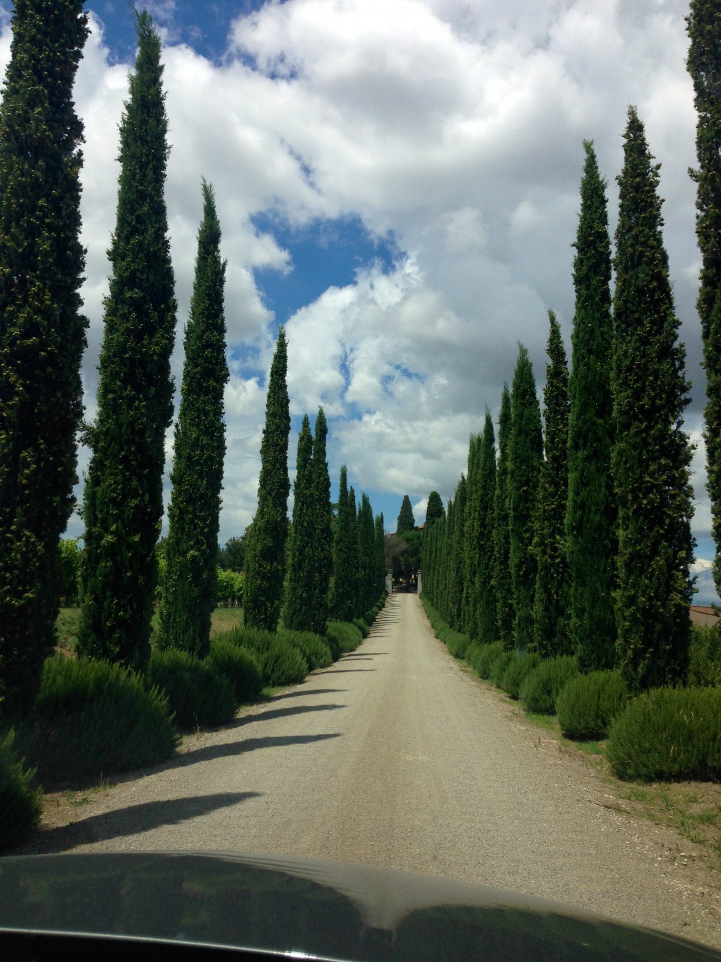 Driving up to Villa Loggia winery in Cortona, Tuscany.