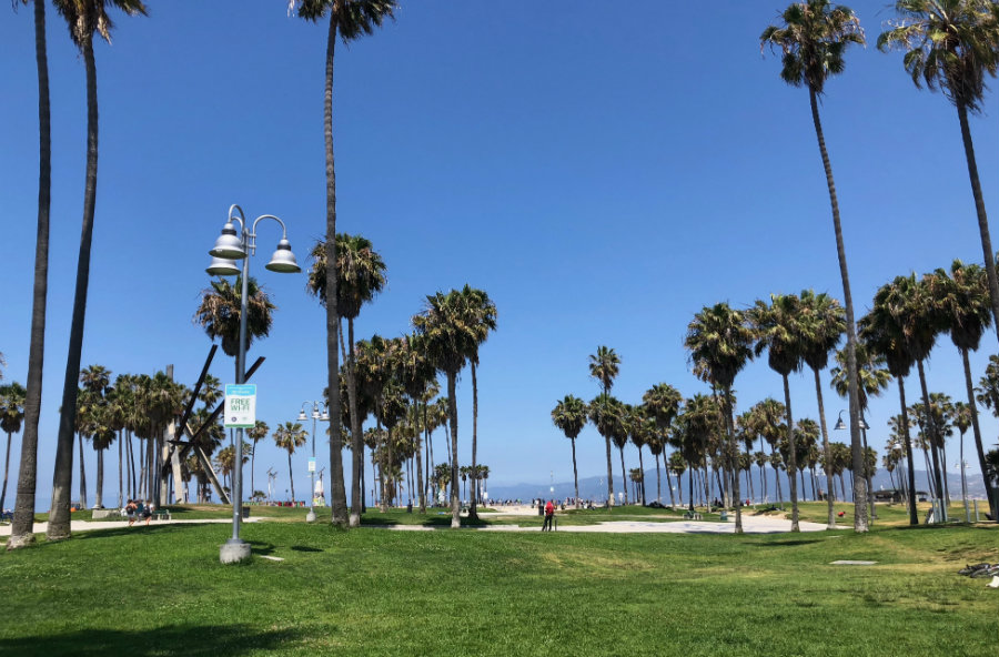 Venice Beach with Kids