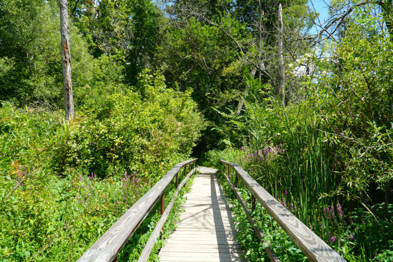 Walking on the nature path to Saugerties Lighthouse.