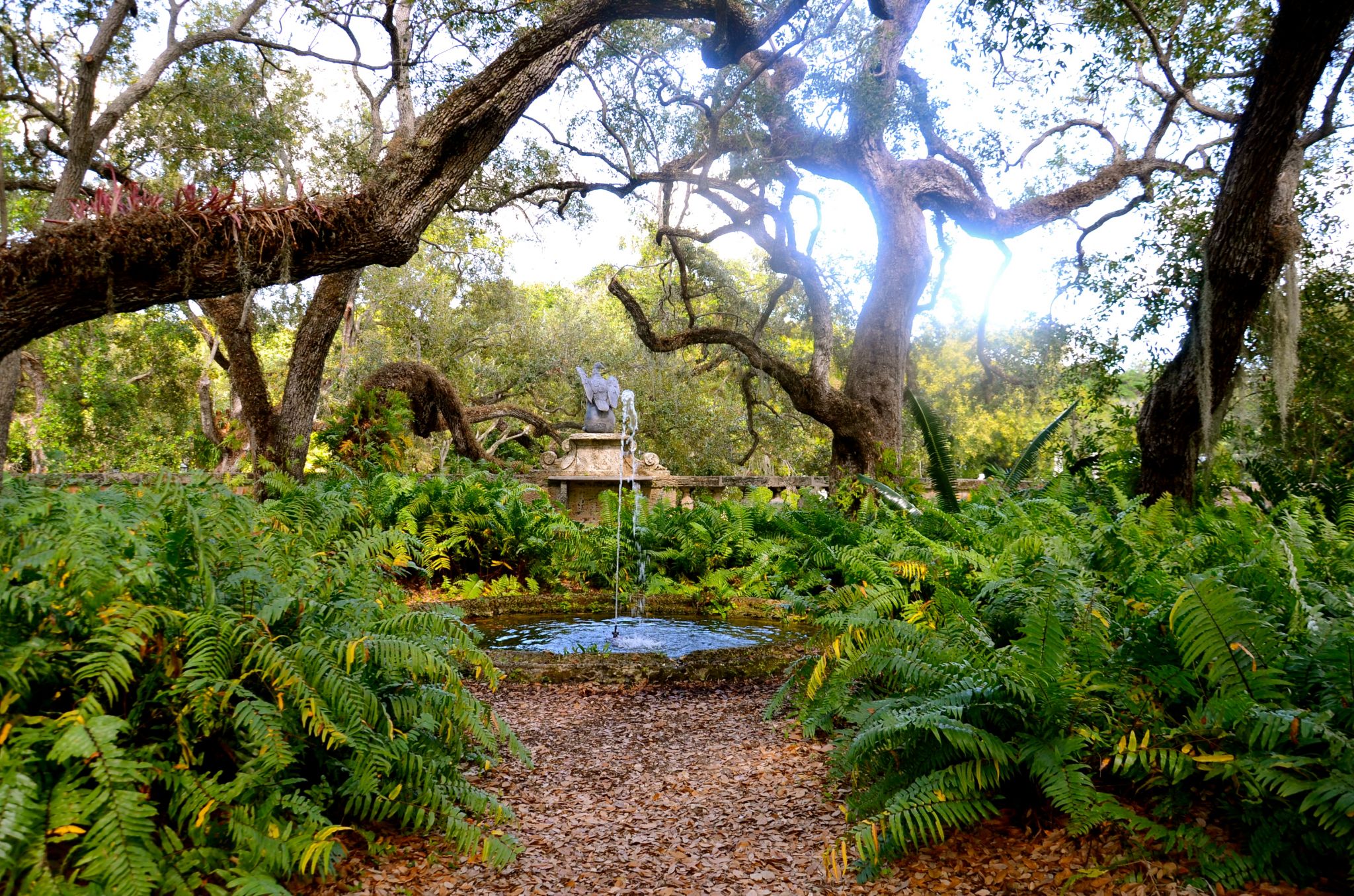 vizcaya-gardens-miami-DSC_5576
