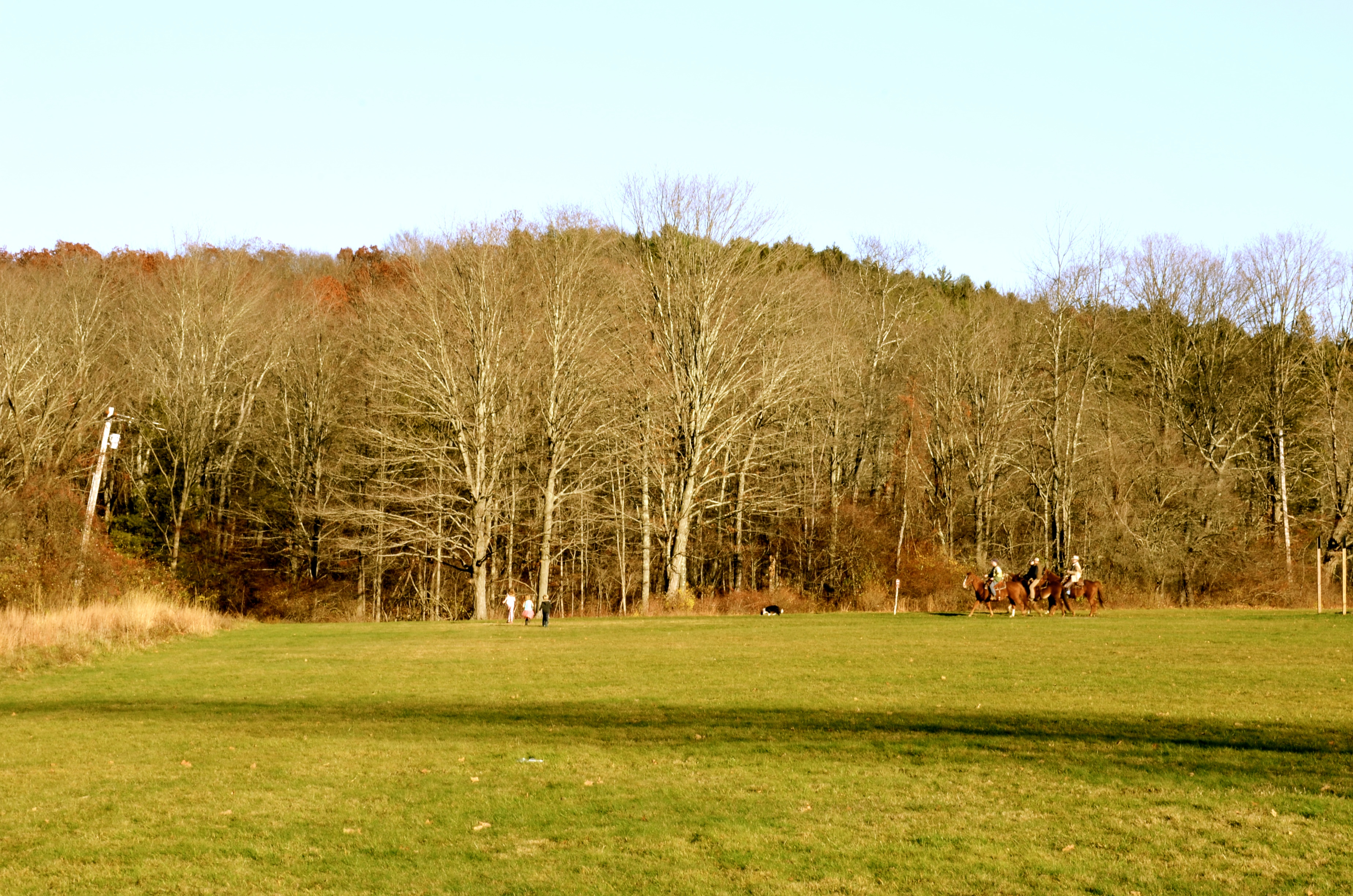 DSC_3746