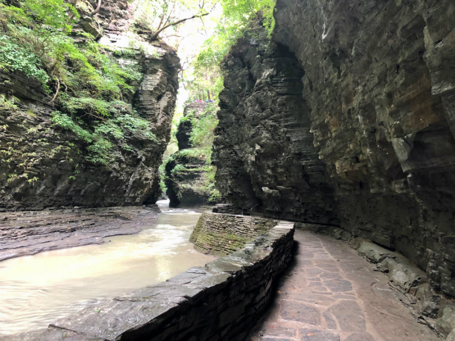 Walk through Watkins Glen State Park