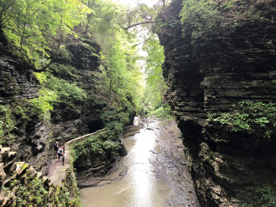 Hiking through Watkins Glen State Park