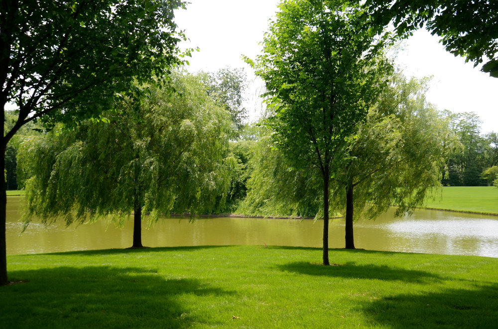 Walking by the pond at Pepsico sculpture and art sanctuary.