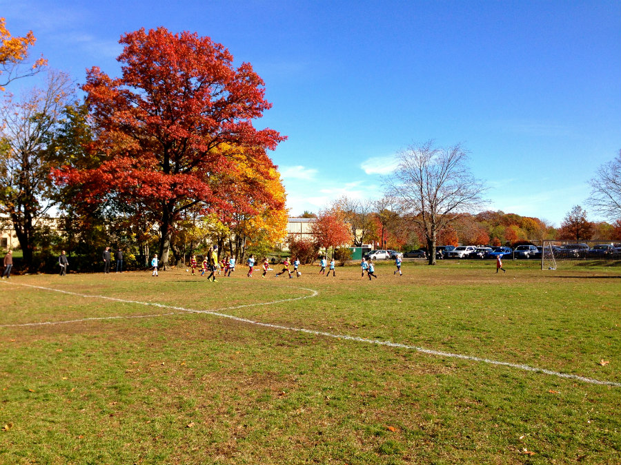 Watching a soccer game at Flint Park in Larchmont, NY.
