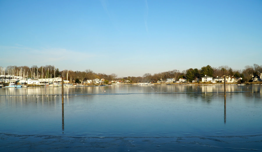 Westchester Snapshots: Mamaroneck Living