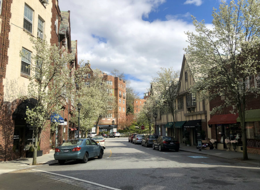 Westchester Snapshots: Life in the Village of Scarsdale