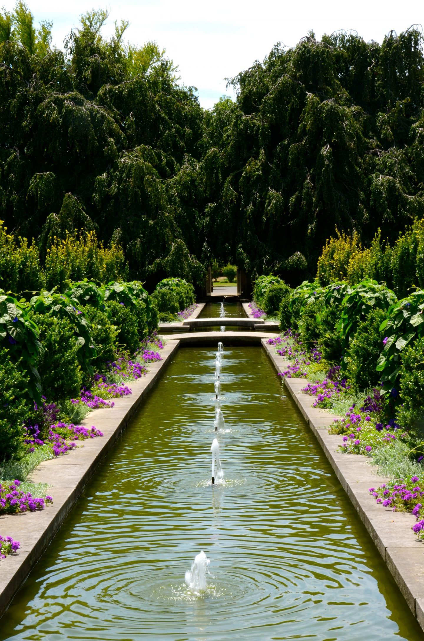 Water fountains and flowers in Untermyer Park and Gardens.