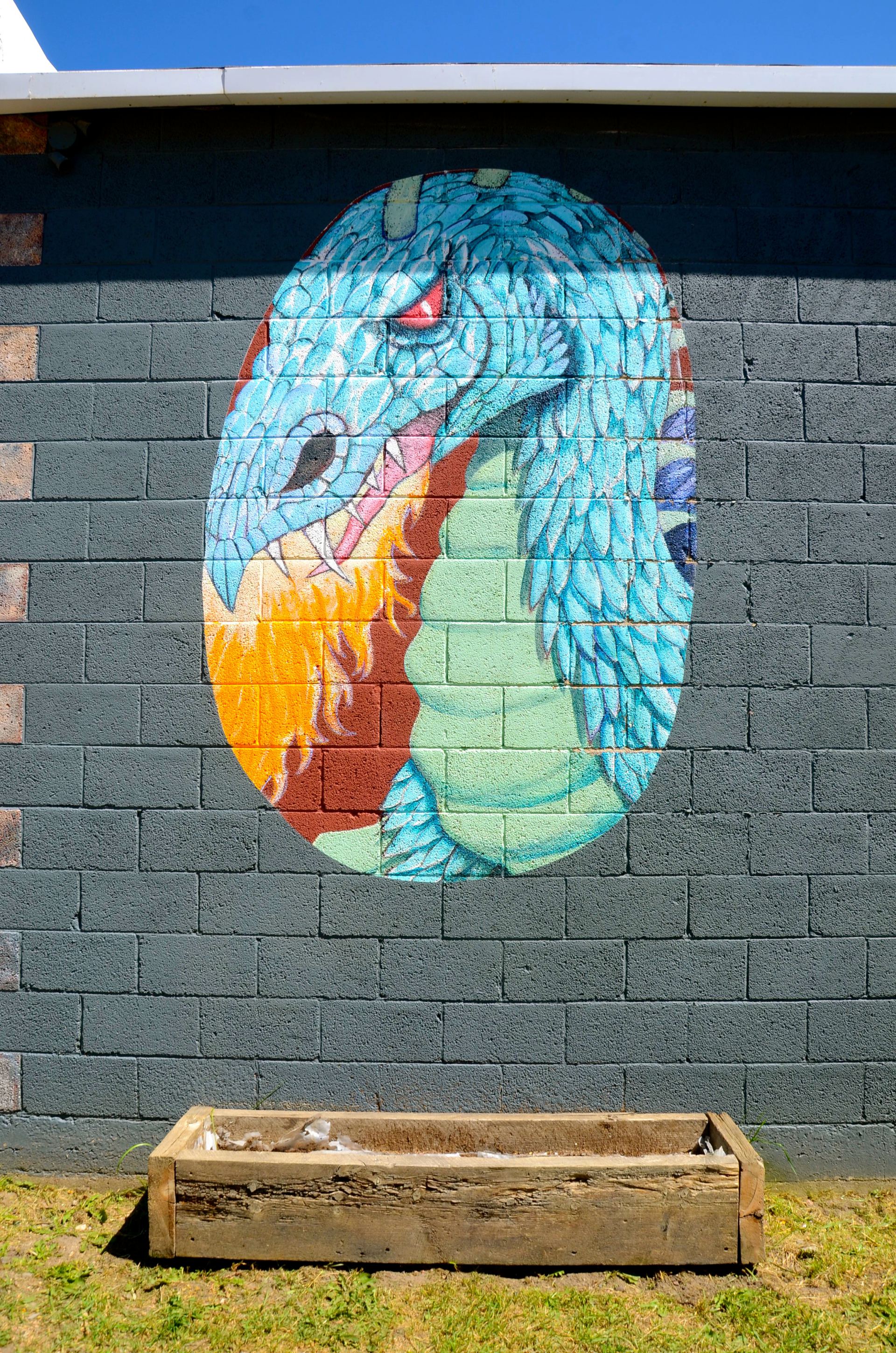 DSC_4446