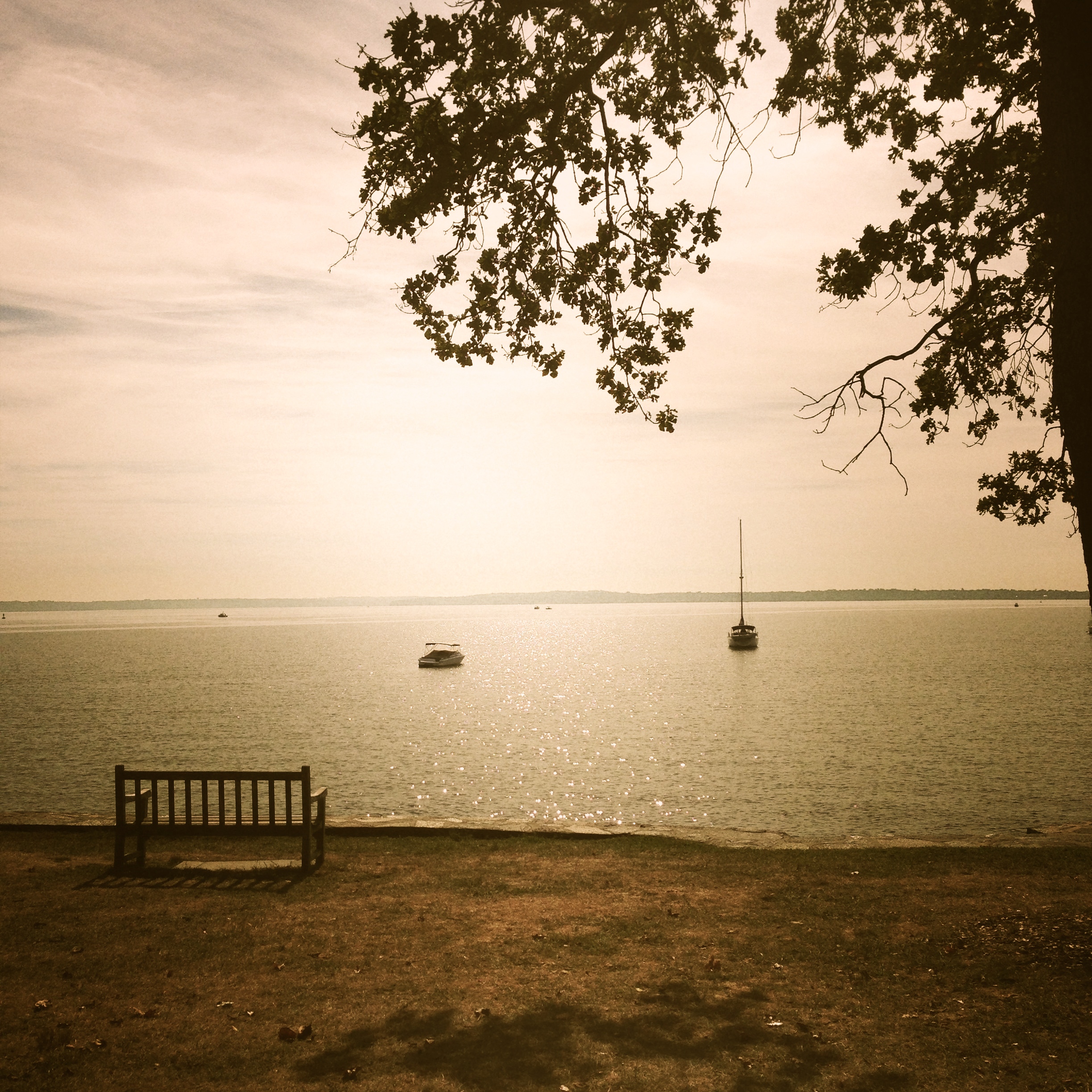 Park bench with a view of the sounds in Larchmont Manor Park.
