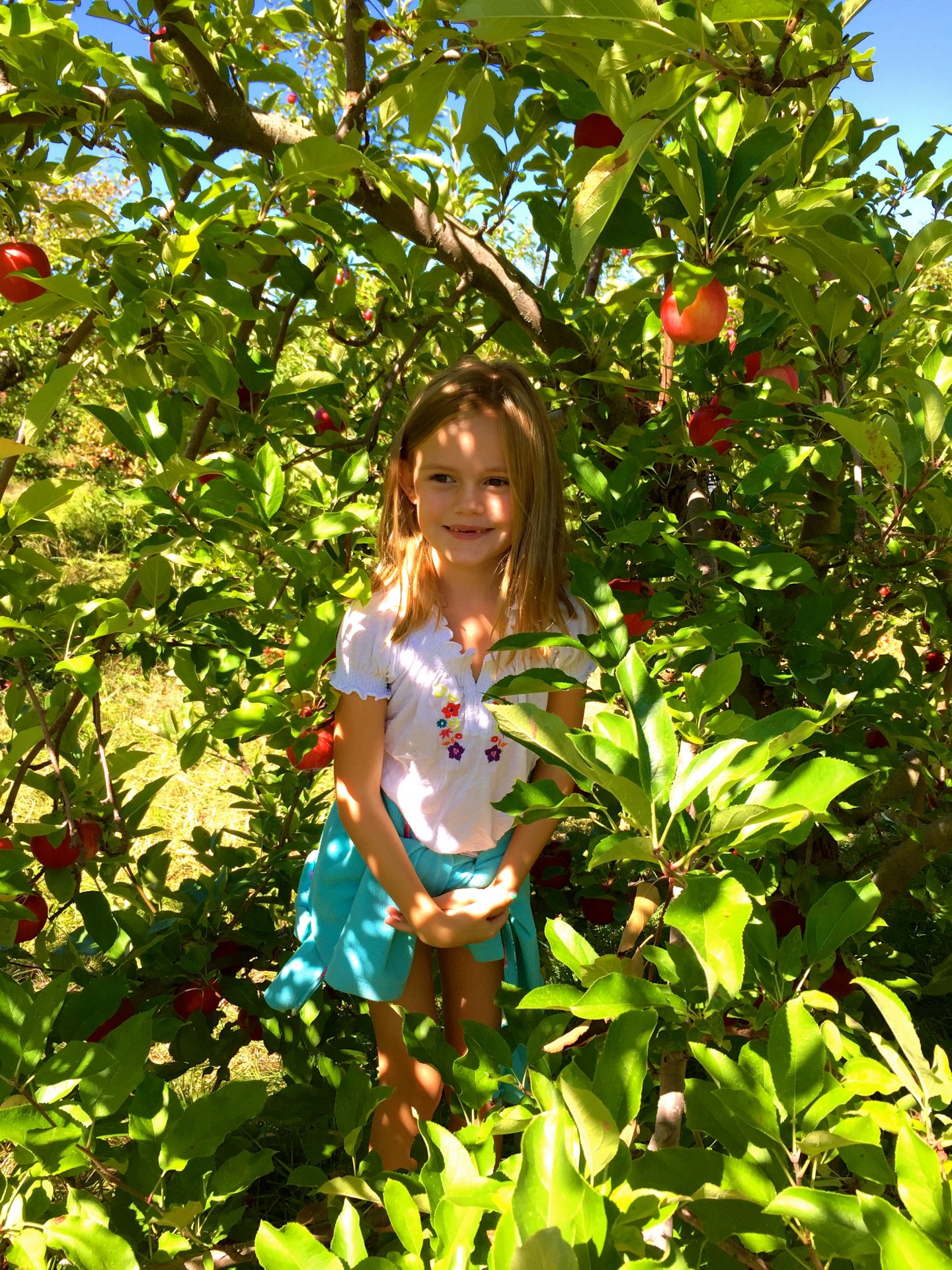 Apple picking and hanging out at Wilkens farm in Westchester, NY