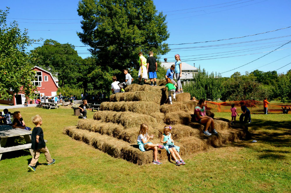 wilkens-fruit-farm-apple-picking-