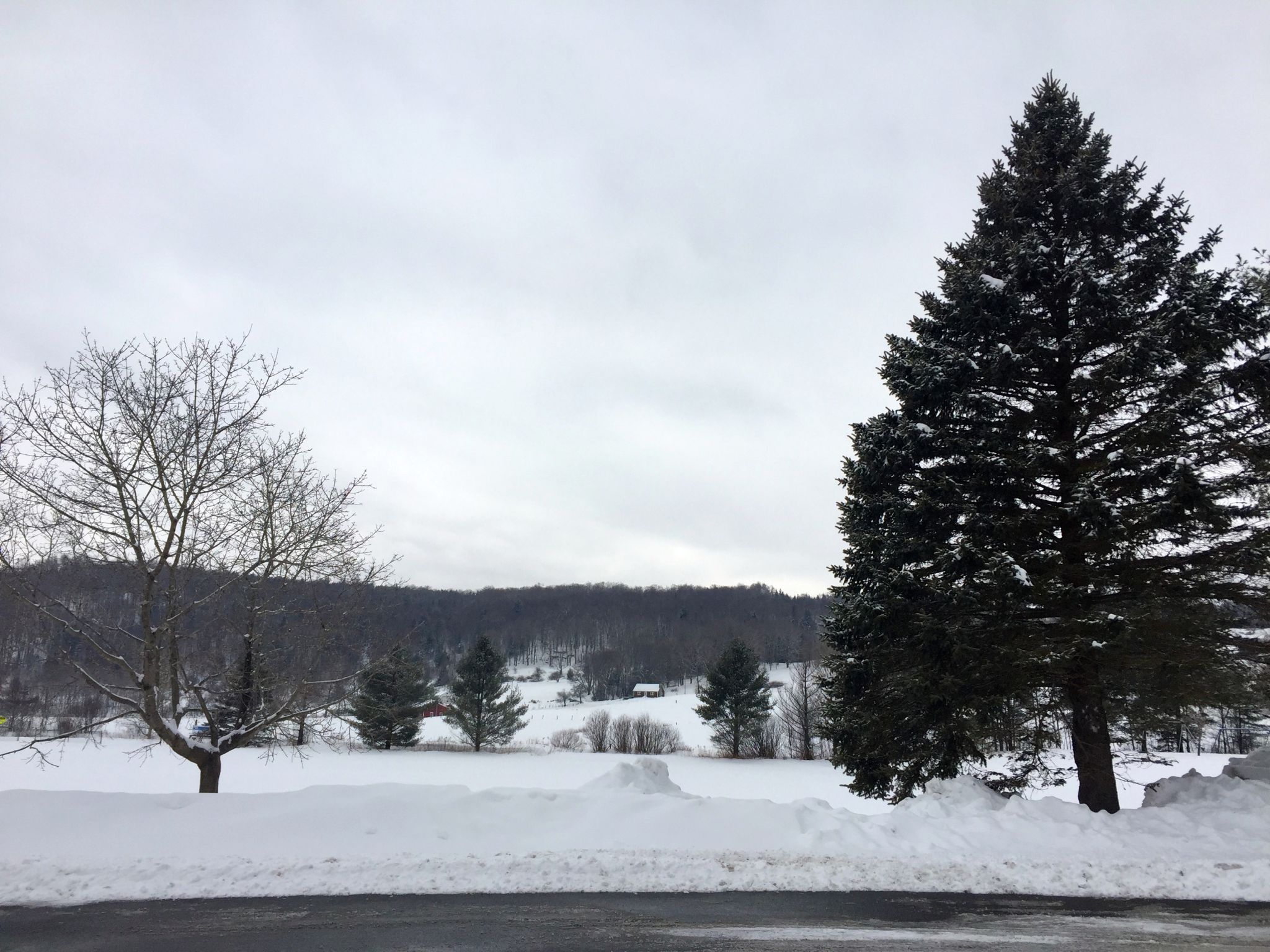 Wintery, snowy landscape in Wilmington Vermont
