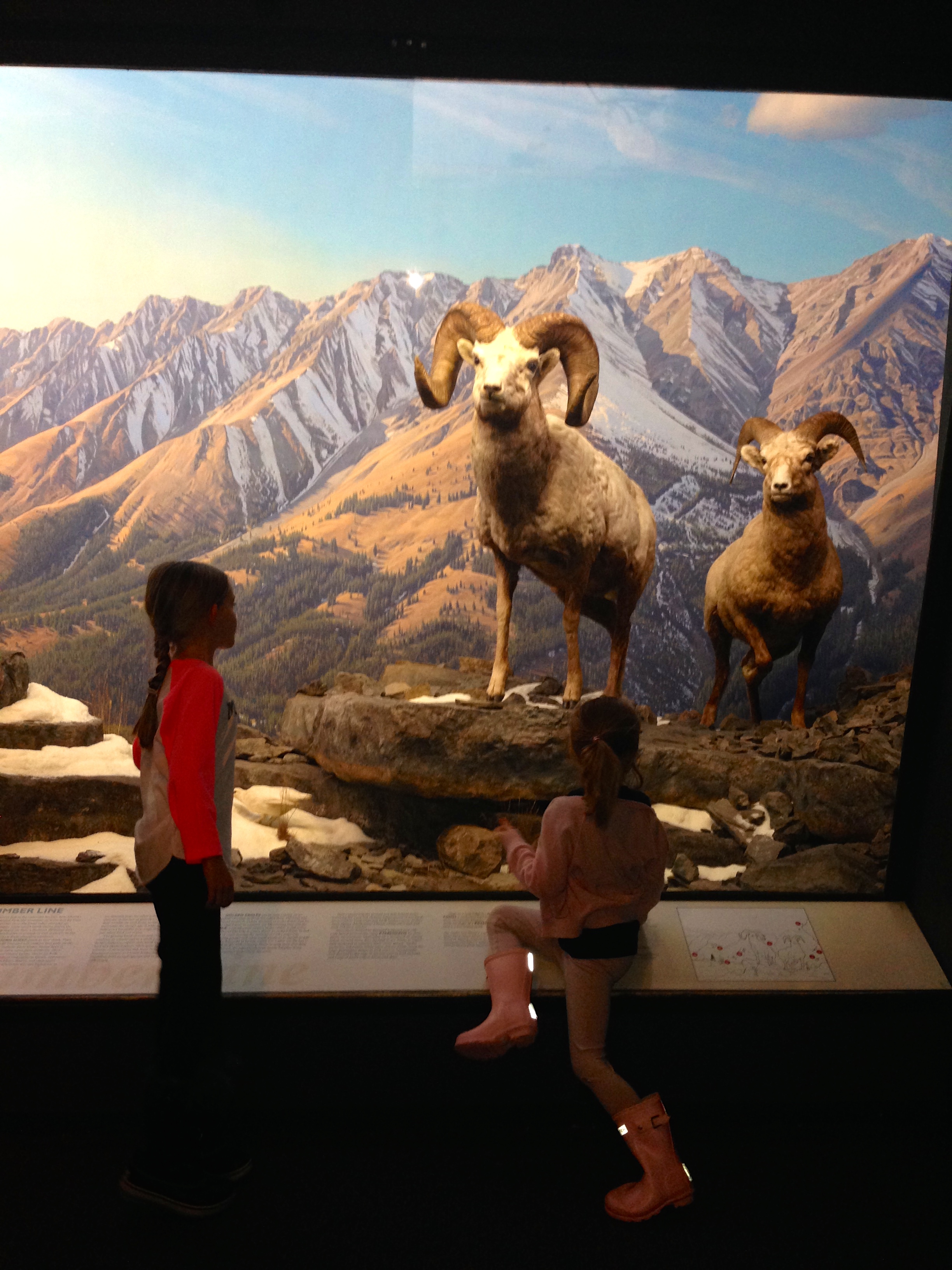 Yale Peabody Museum of Natural History, New Haven, CT