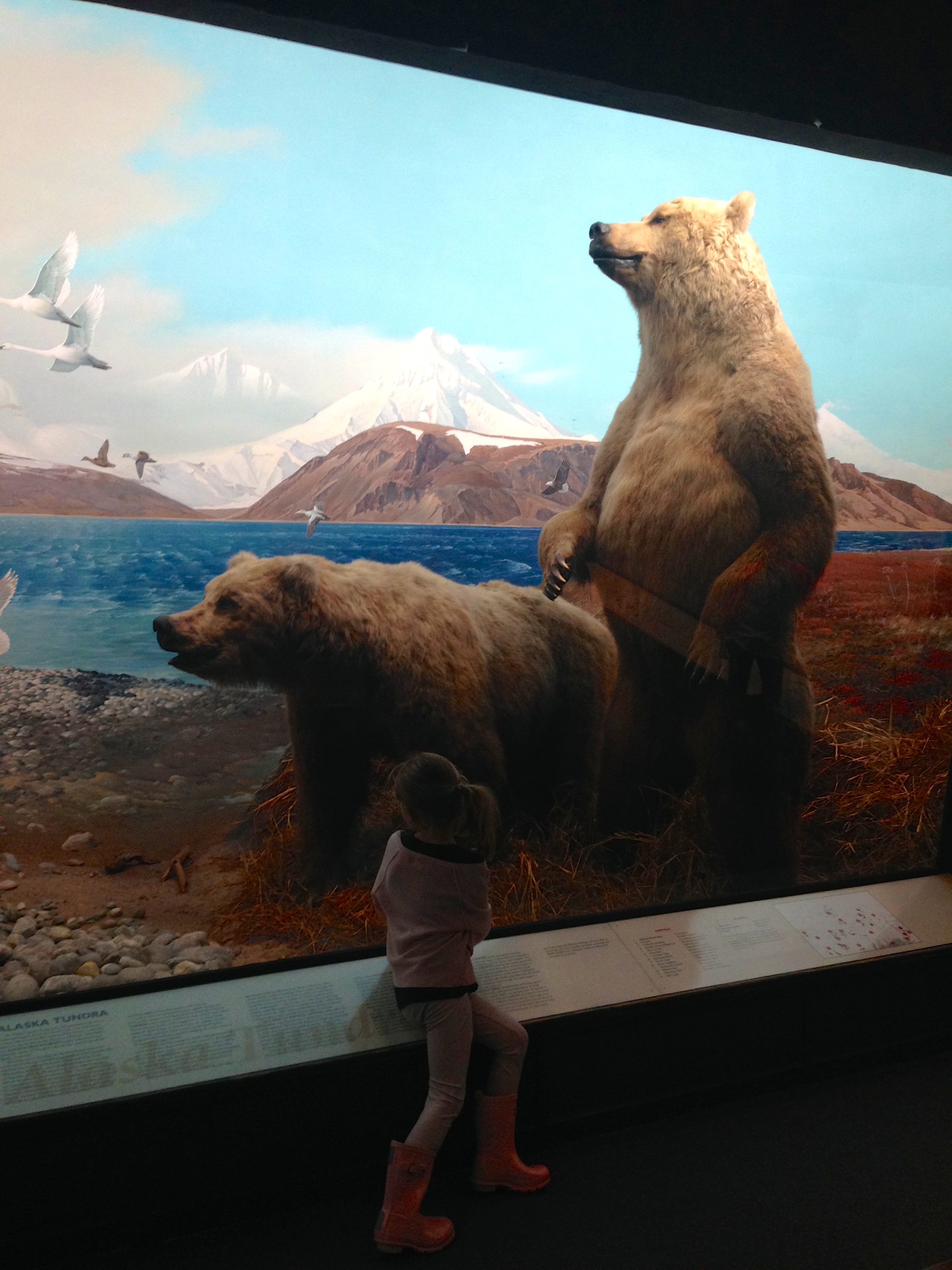 Yale Peabody Museum of Natural History