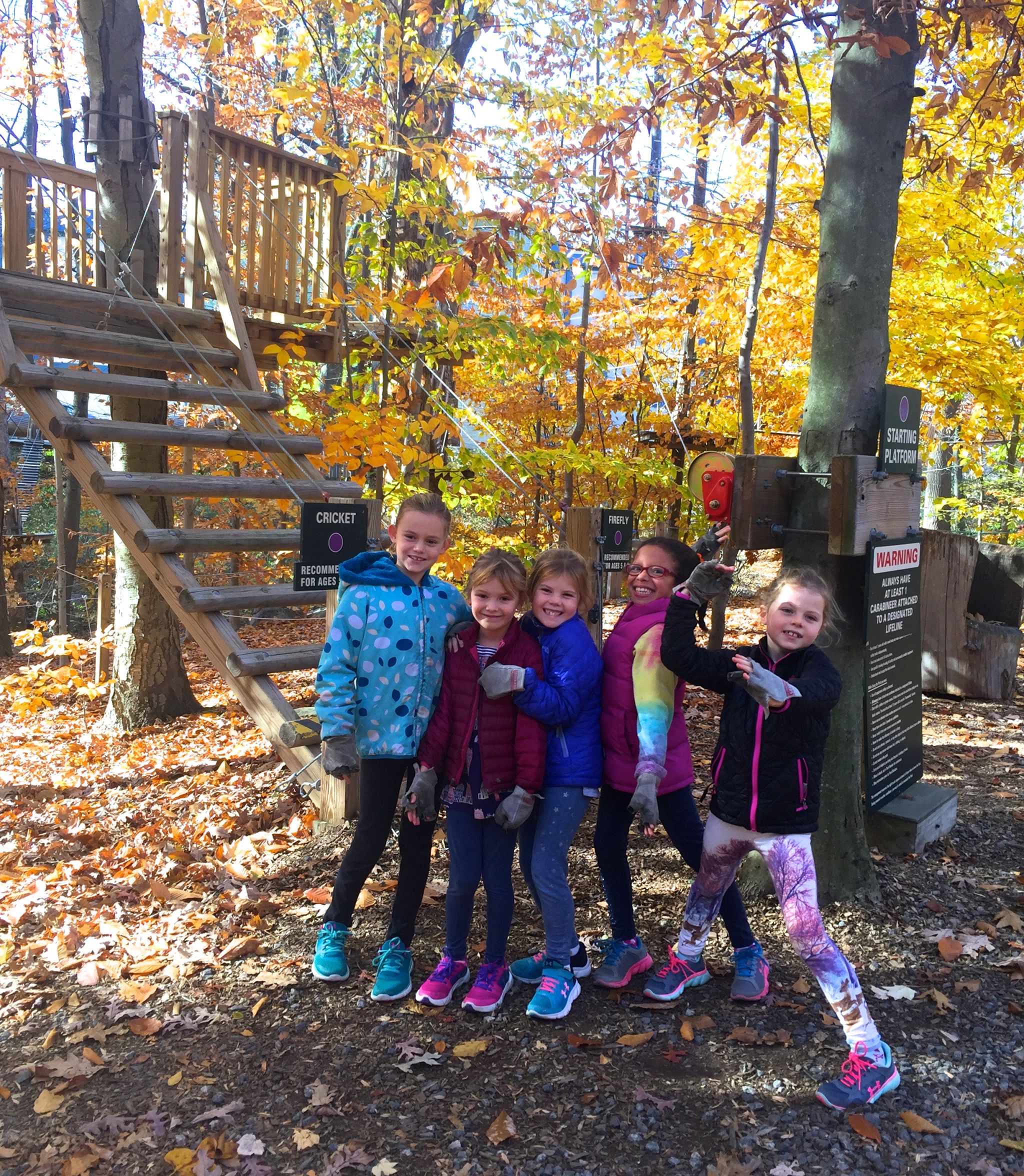 adventure-park-connecticut-img_6972