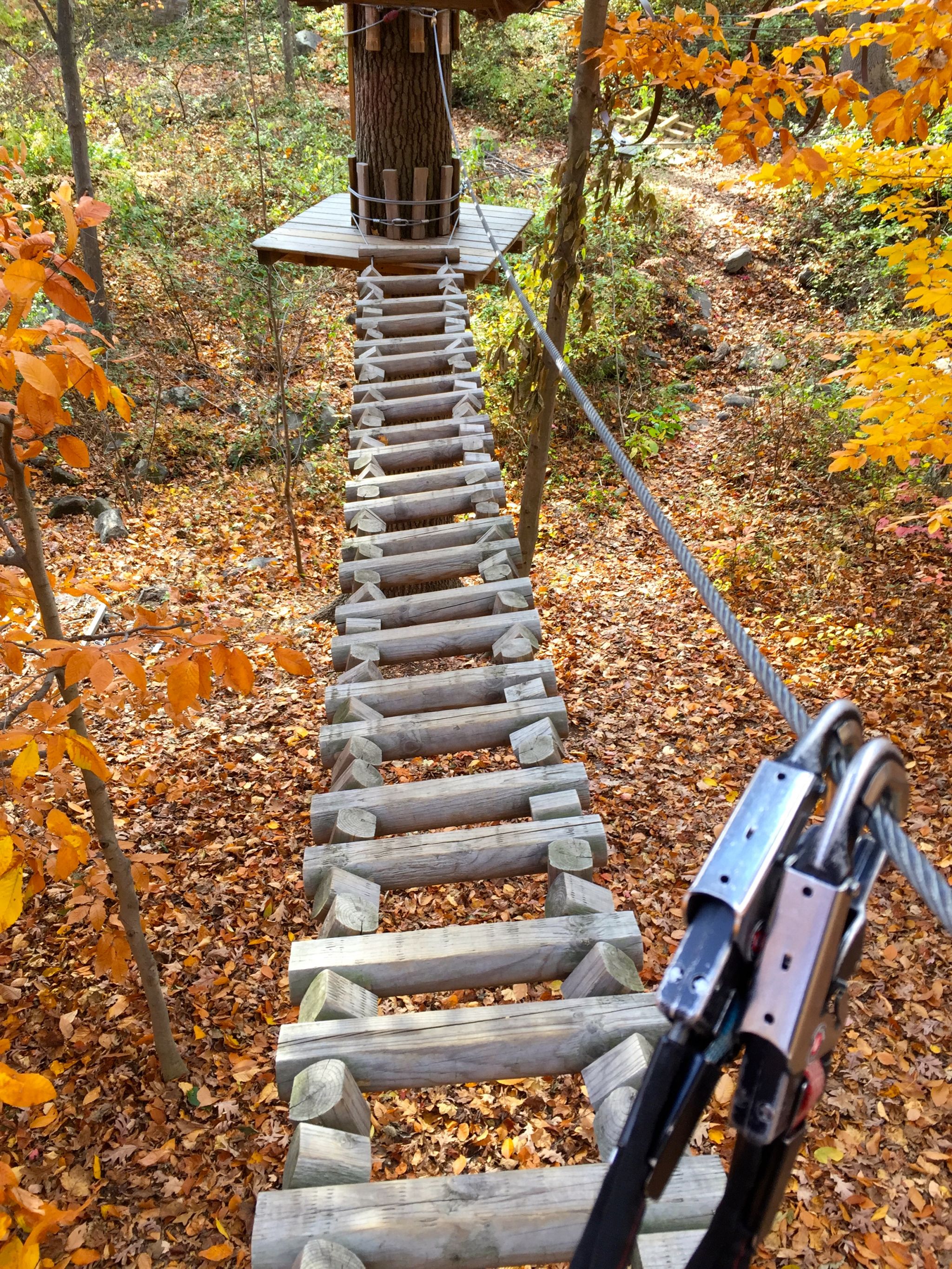 connecticut-adventure-park-bridgeport-img_6988