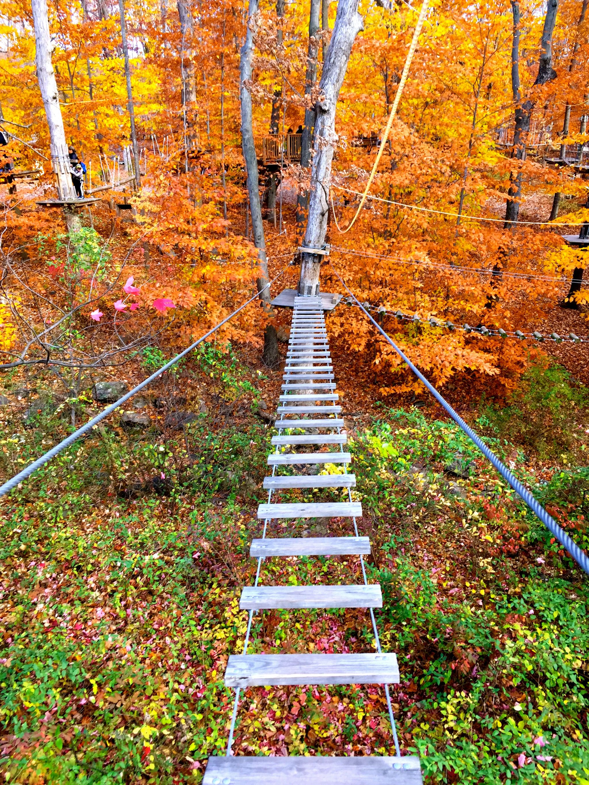 connecticut-adventure-park-bridgeport-img_6999