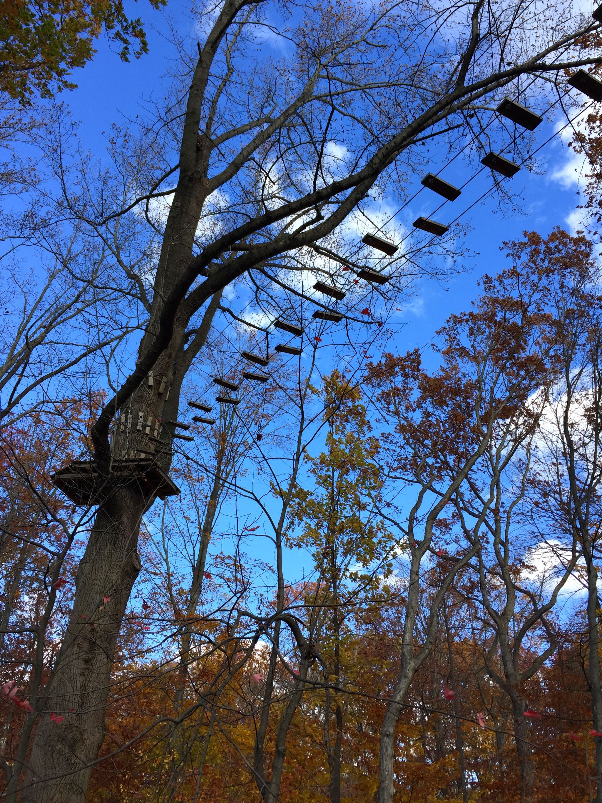 connecticut-adventure-park-obstacle-course-img_6998