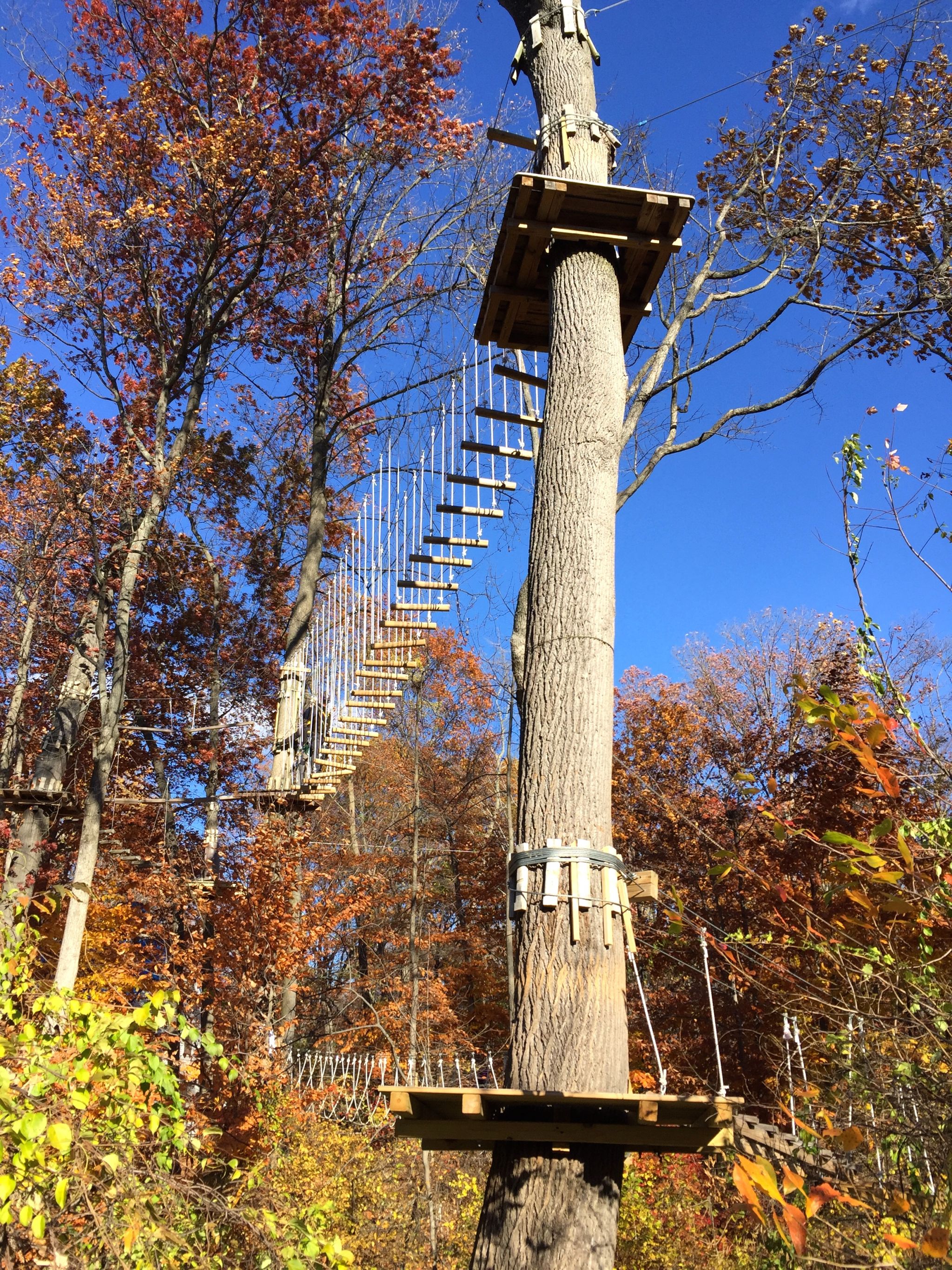 adventure-park-connecticut-bridgeport-img_7039