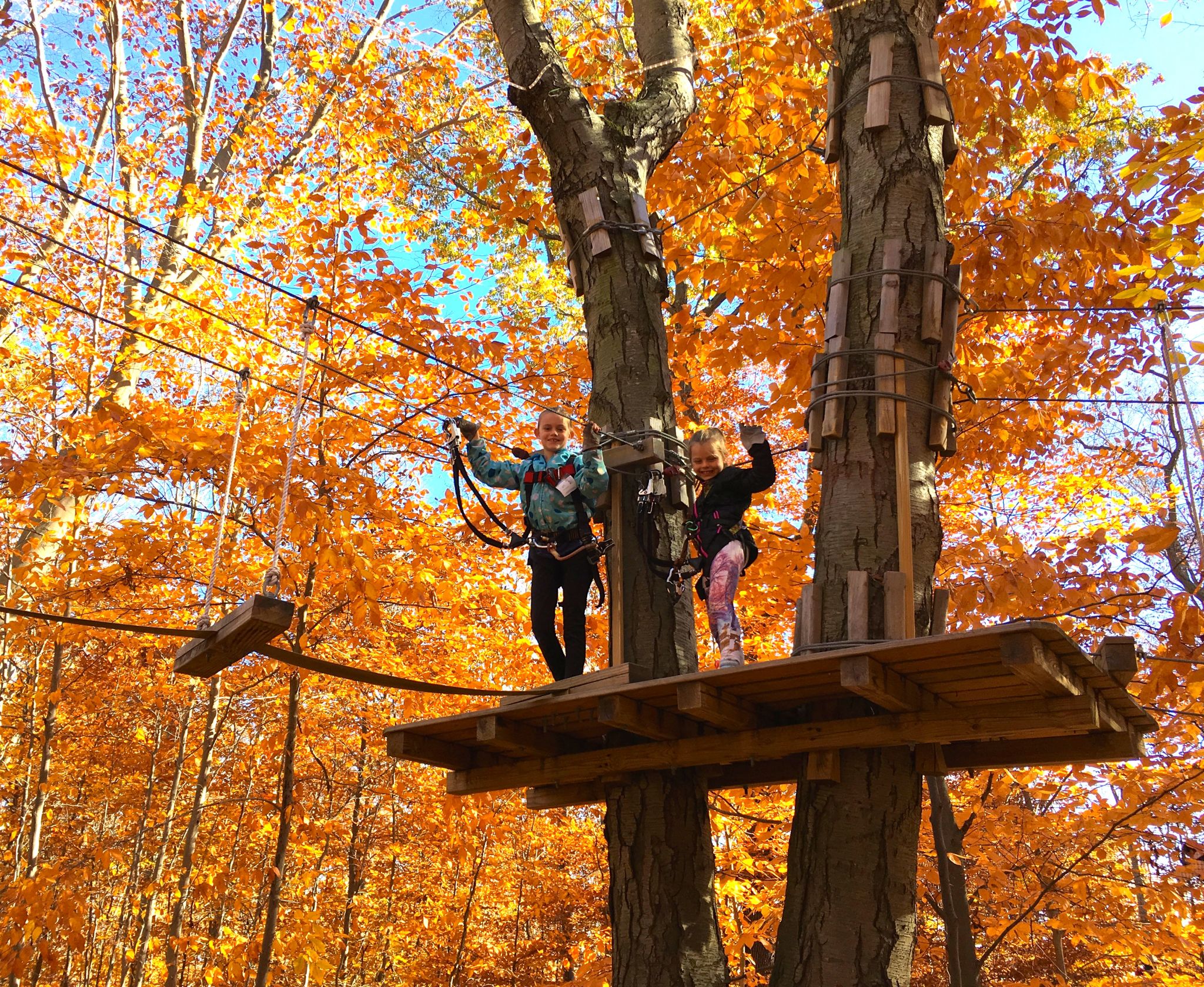 Zip Lining Anyone? Connecticut’s Most Popular Obstacle Course